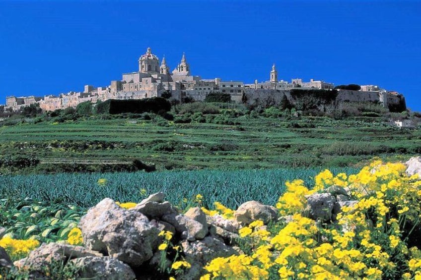 Mdina, Rabat, Dingli cliffs, San Anton gardens, Ta' Qali & Mosta guided tour| 2