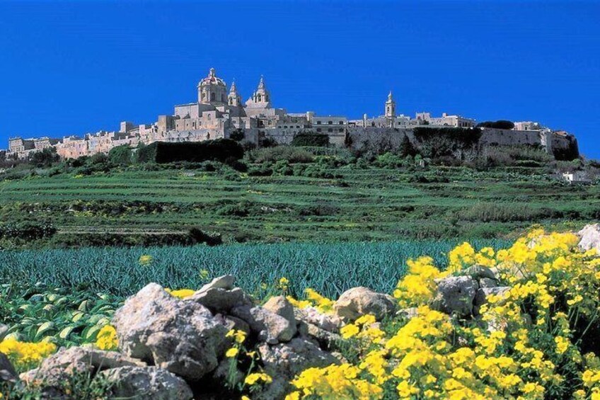 Mdina, Rabat, Dingli cliffs, San Anton gardens, Ta' Qali & Mosta guided tour|
