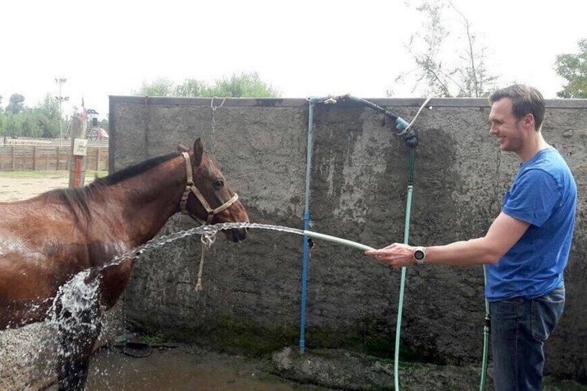 Iemand wast een paard met een slang in een open omheining. 2