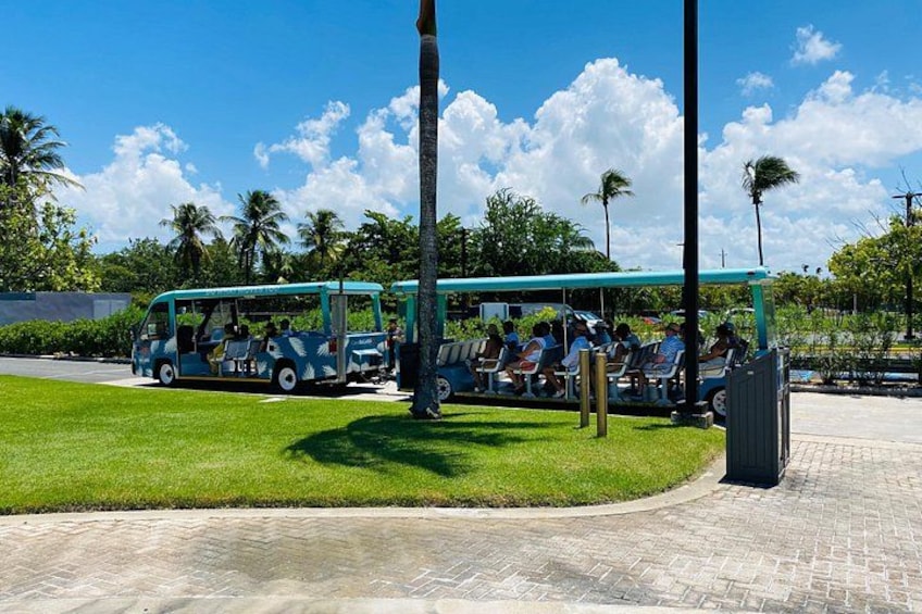 A bus parked on a paved area with people seated inside, surrounded by greenery and palm trees. 4