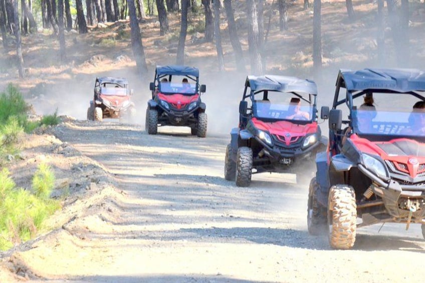 Off-road vehicles on a dirt road in a forested area. 4