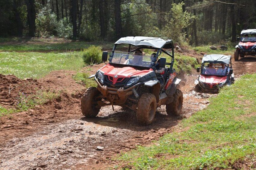 2 people buggy safari half day beach and forest drive 1