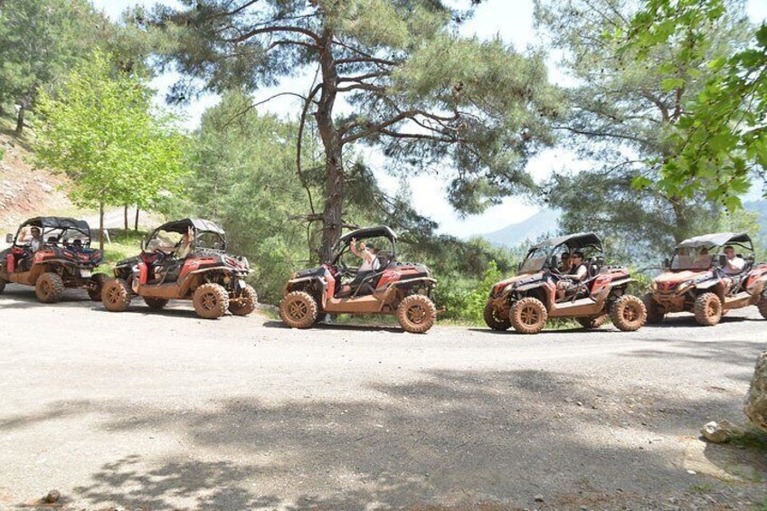 2 people buggy safari half day beach and forest drive 4