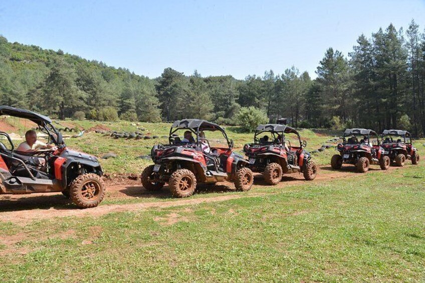 2 people buggy safari half day beach and forest drive 2