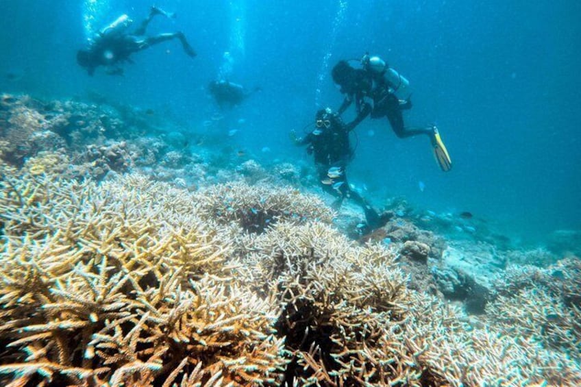 Scuba Diving For Non Swimmers with Experience Scuba 1