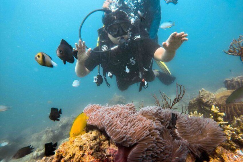 Scuba Diving For Non Swimmers with Experience Scuba 3