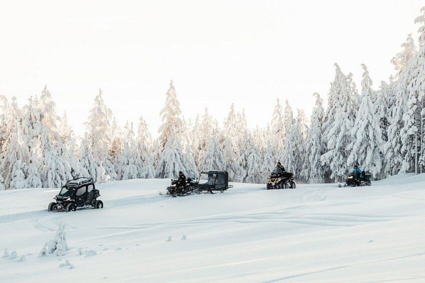 Northern Lights & Haute Cuisine**** Private Igloo Service 3