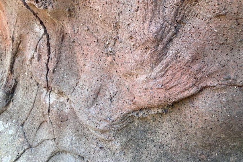 A close-up of a rock surface with visible striations and a crack. 4