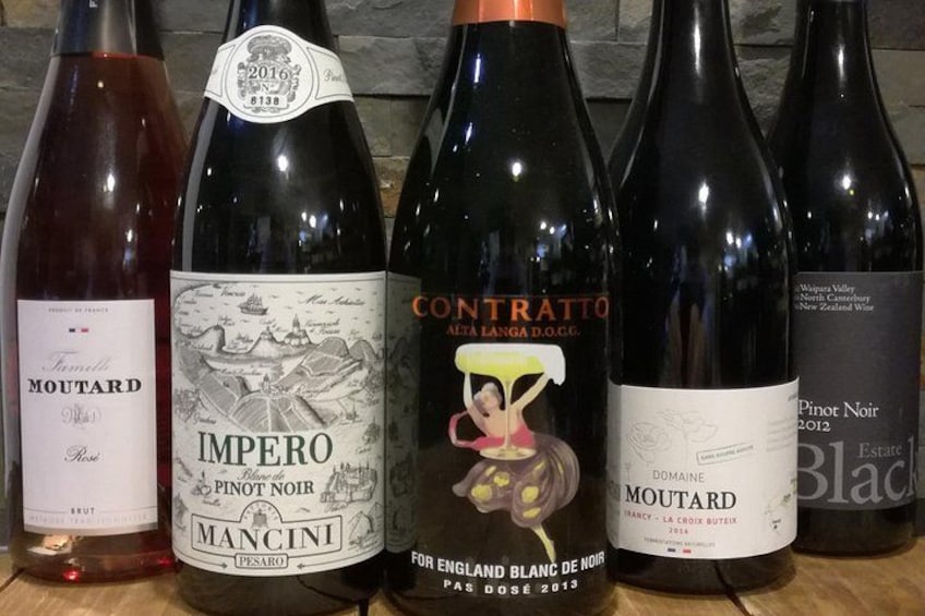 Pinot Noir Tasting 5