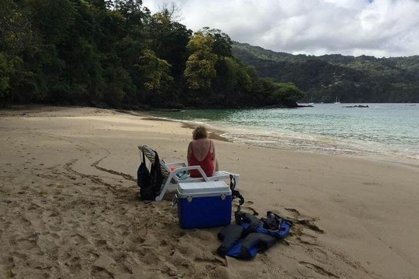 VIP Inclusive Private Tour of Island (Lunch, Drinks + Snorkeling) 5