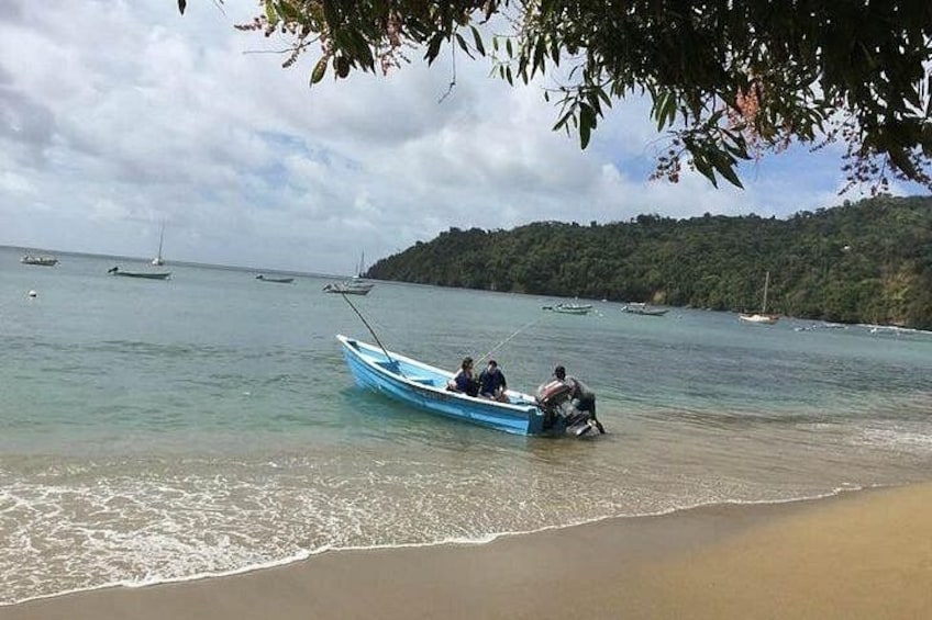 VIP Inclusive Private Tour of Island (Lunch, Drinks + Snorkeling) 2