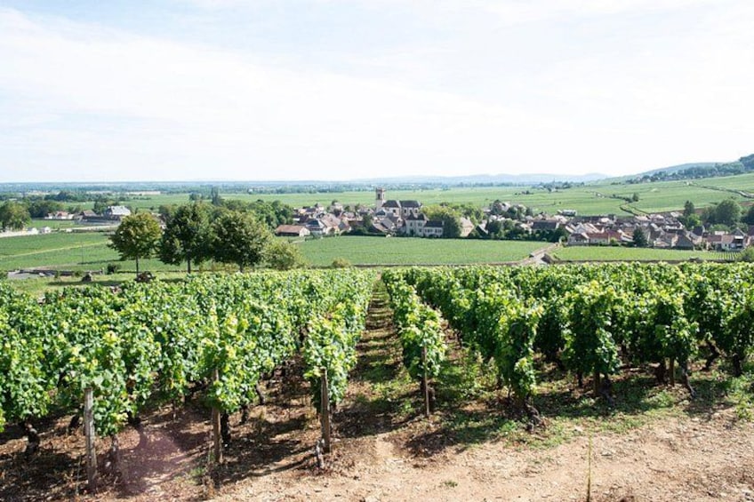 Private day tour in Burgundy : Côte de Beaune & Côte de Nuits 5