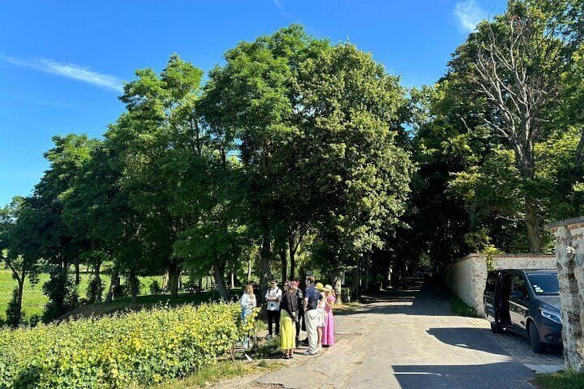 Reims or Epernay: Full day Champagne Mumm, family grower & lunch 5