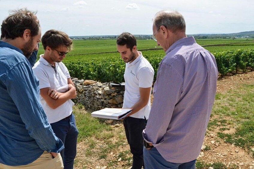 Detailled explanations to understand our terroir 2