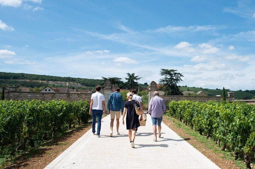 From Beaune: Full day the most of Burgundy, with lunch 4