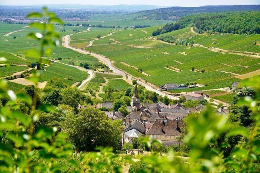 From Dijon: Full day the most of Burgundy with lunch 4