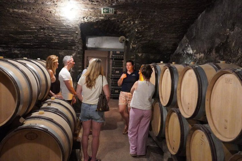 From Dijon: Full day the most of Burgundy with lunch 5