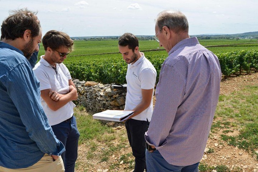 Learning about the vineyards 2