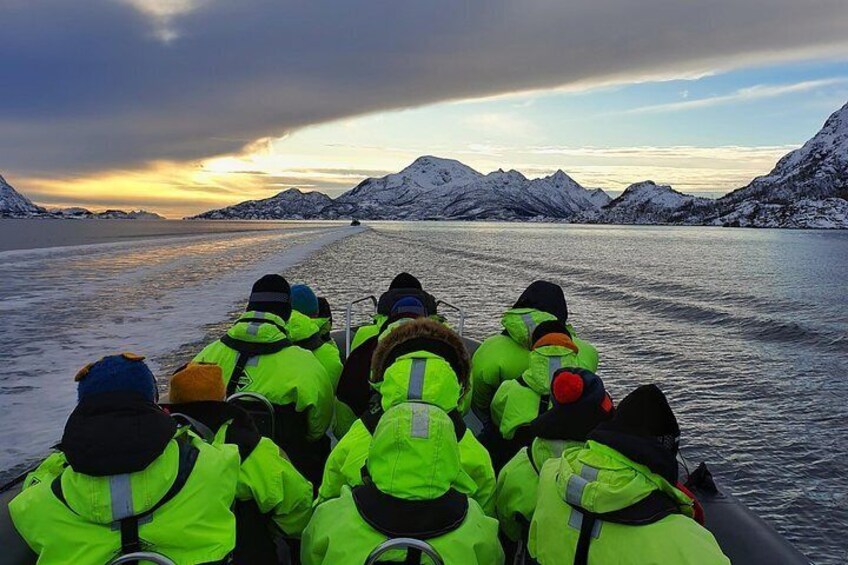 Trollfjord and Sea Eagle Safari Tour from Svolaer