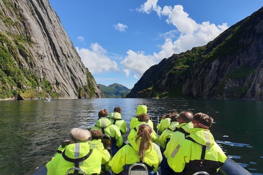 Trollfjord and Sea Eagle Safari Tour from Svolaer