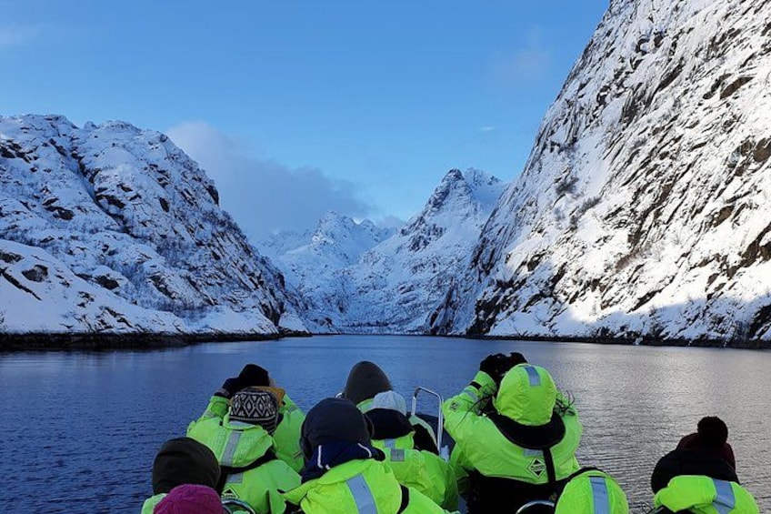 Premium RIB Boat to Trollfjord & Sea Eagles 1