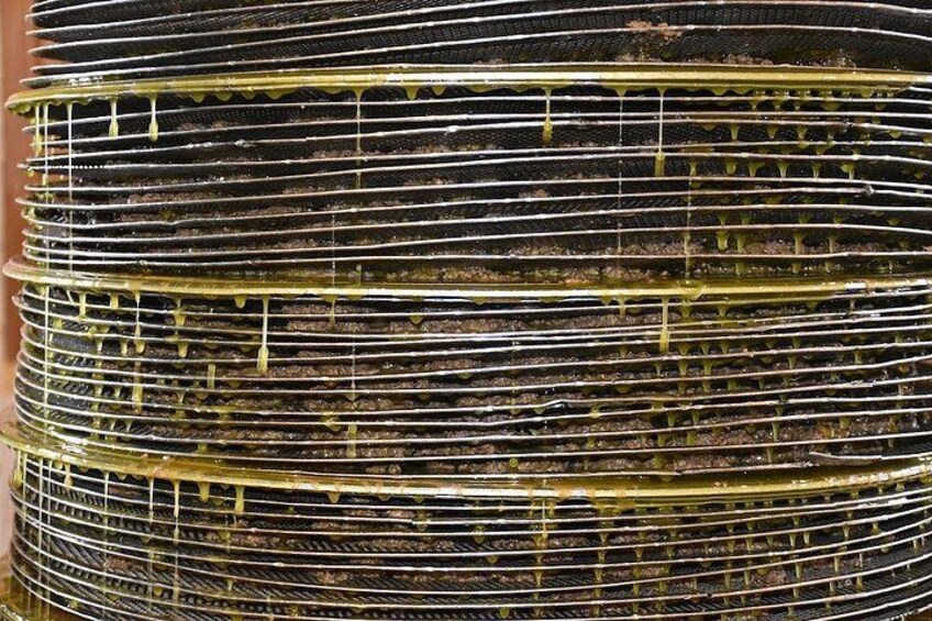 Olive Oil Tasting Tour 4