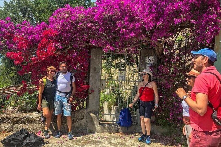 Private Tour: The Path of the Lemons 3