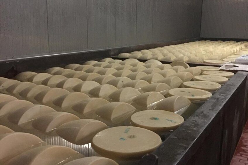 First step cheese aging