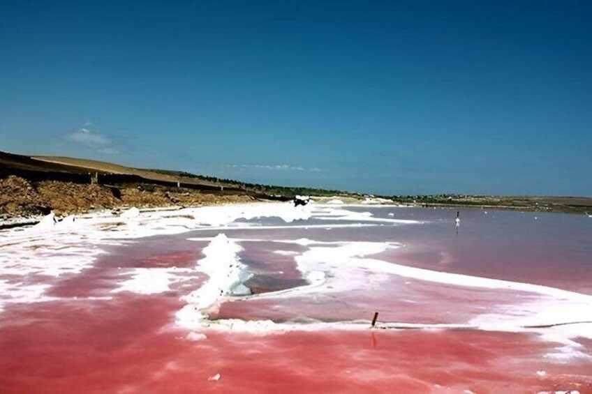 A salt flat with pink and white salt formations under a clear blue sky. 2