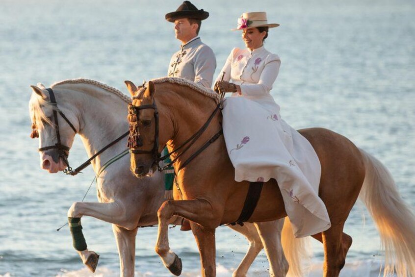 Horse and Flamenco Show in Malaga 3