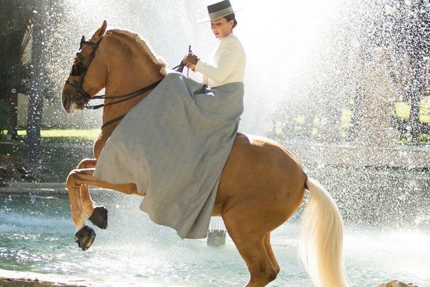 Horse and Flamenco Show in Malaga 2