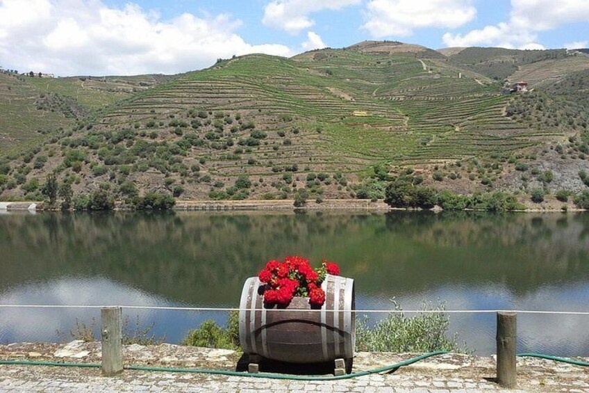 Un lago con viñedos en terrazas al fondo. 5