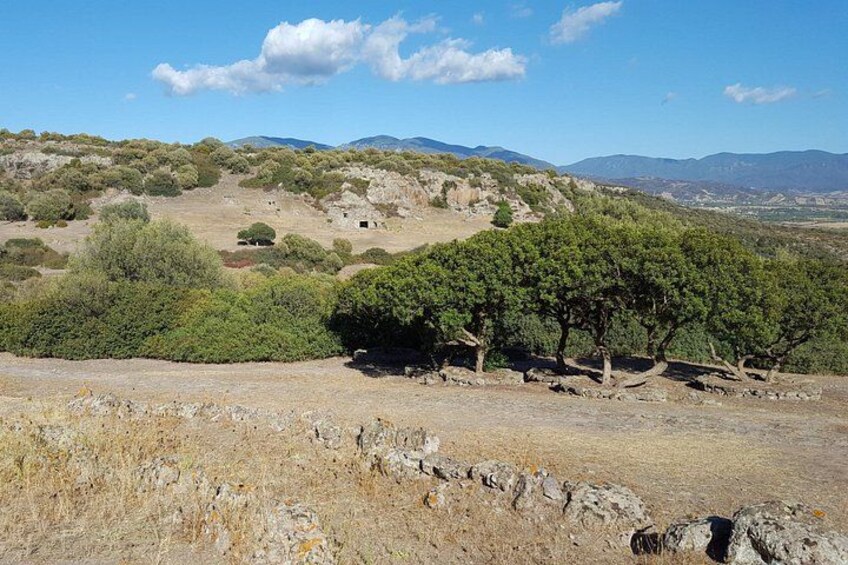 Cagliari: Archaeological Site of Montessu Guided Visit from Chia 5