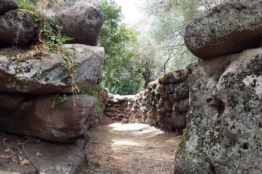 Cagliari: Bronze Age Mysticism & Oristano Private Tour 5