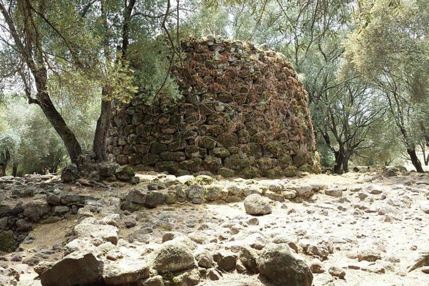 Cagliari: Bronze Age Mysticism & Oristano Private Tour 4
