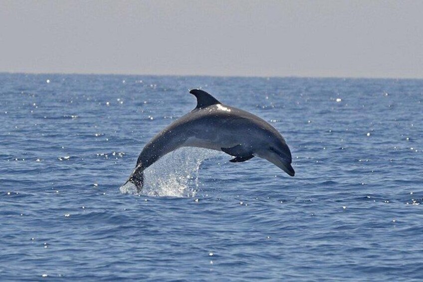 Cagliari: South West Chia and Teulada Private Boat Tour from Chia 3