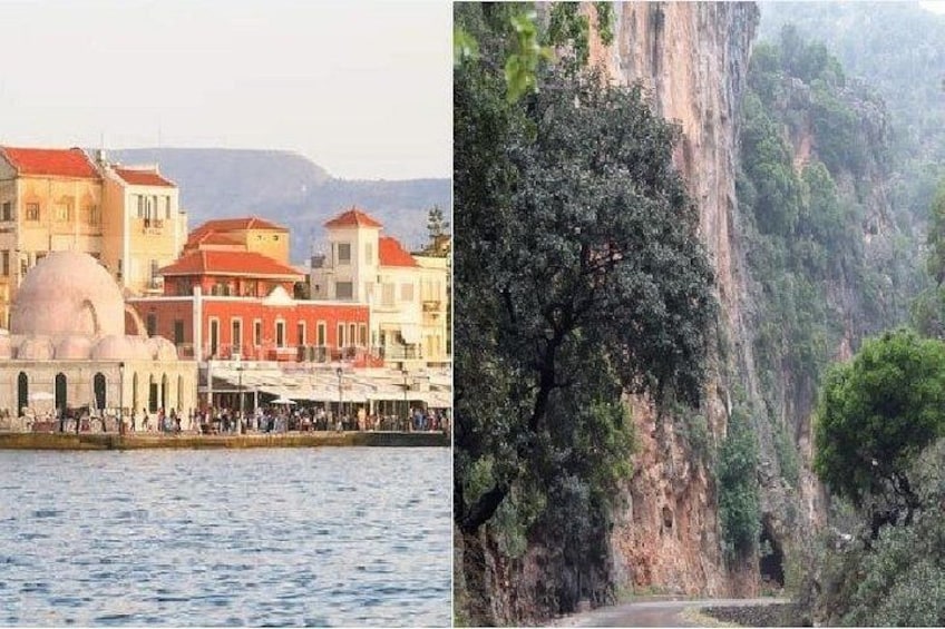 A waterfront with buildings and a cliff with dense vegetation. 1
