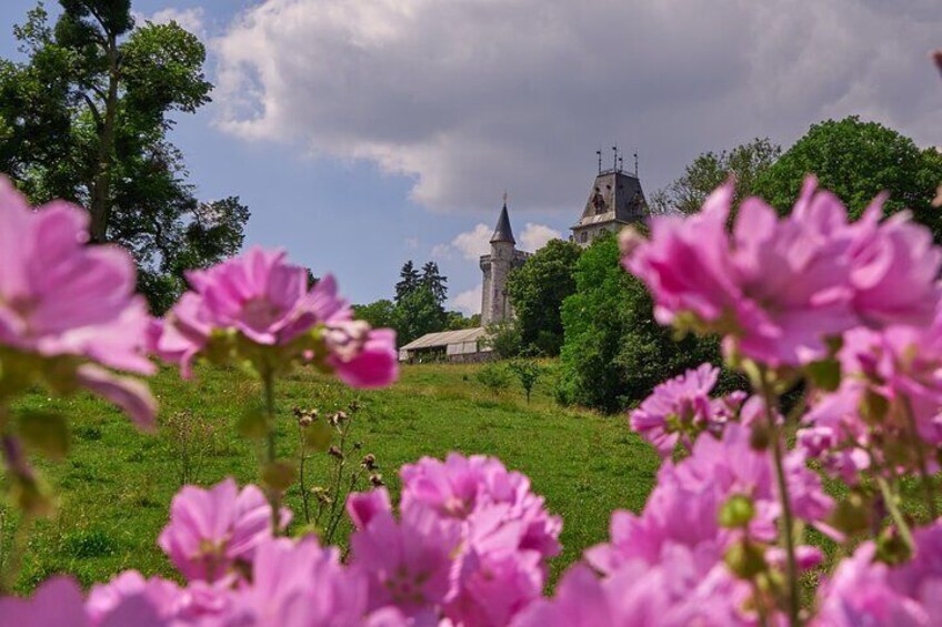 Castle Guided Tour (English)