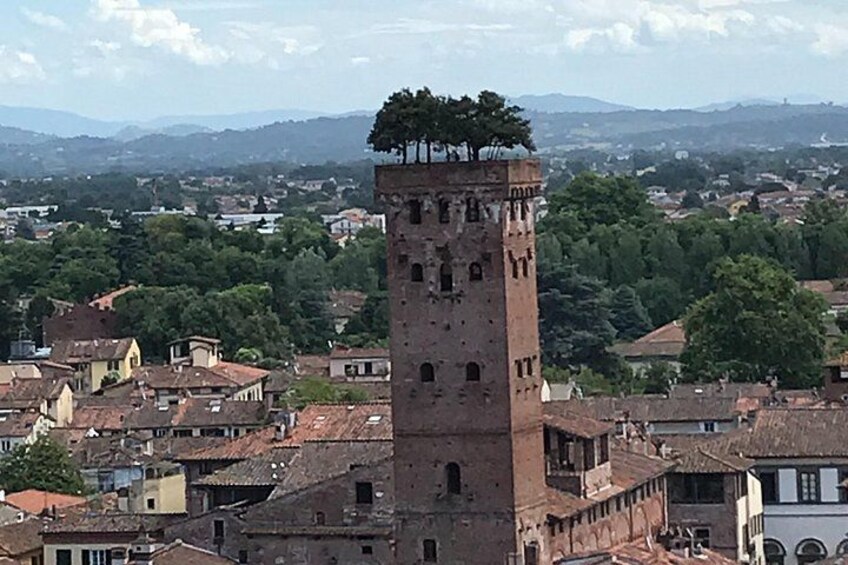 Una torre histórica con un árbol en la cima, rodeada por un pueblo con tejados rojos. 2