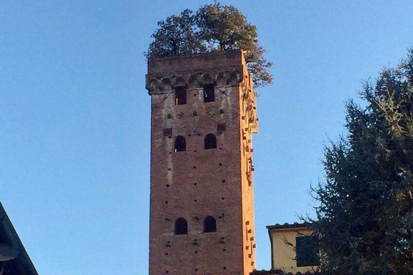 Guinigi Tower 3