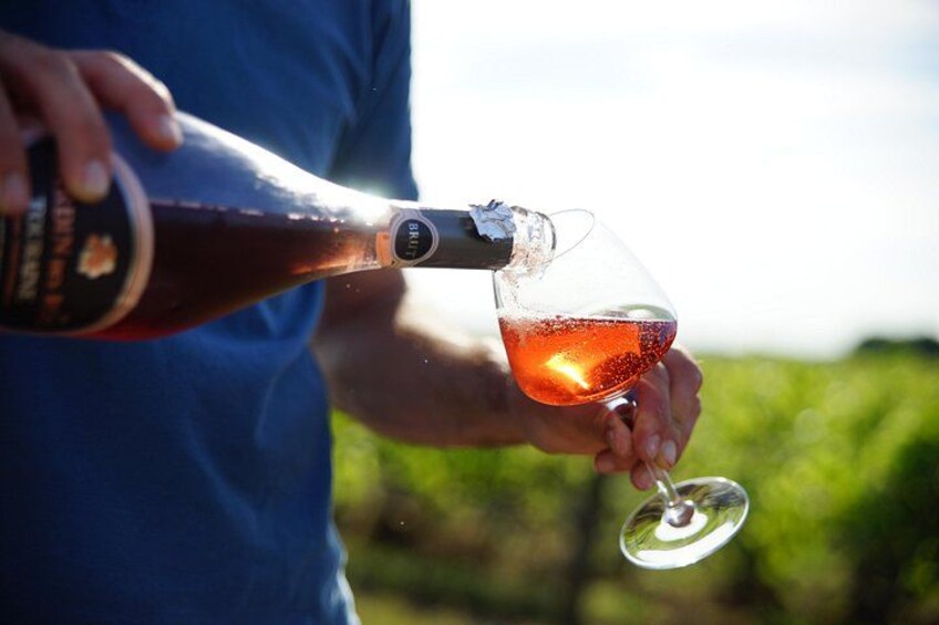 Discover local wines 3