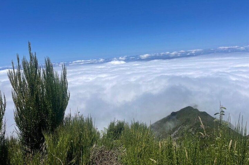 A mountain landscape with a clear sky, a sea of clouds below, and a prominent green hill in the foreground. 3