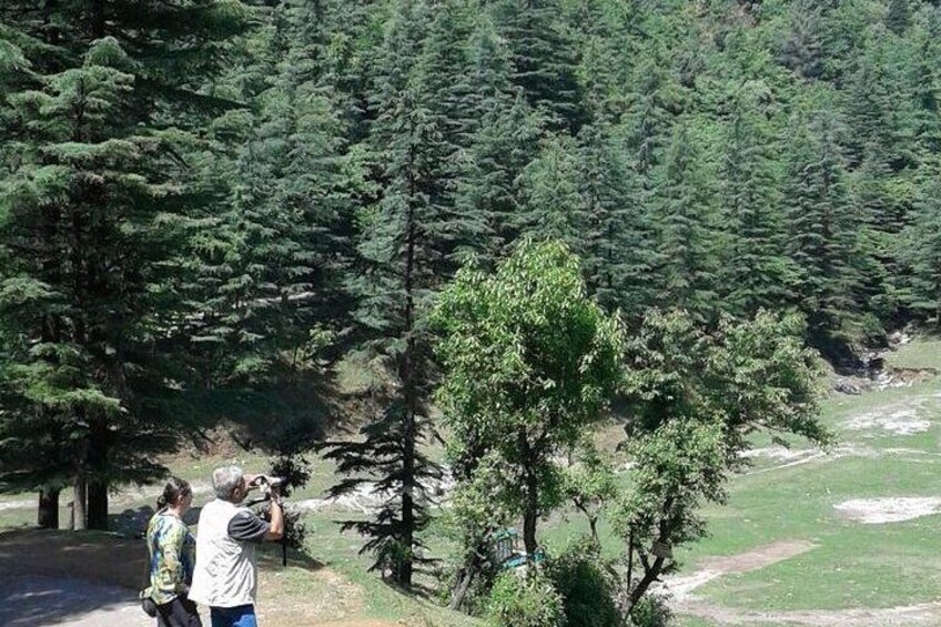 Mussoorie Nature Walk Tour