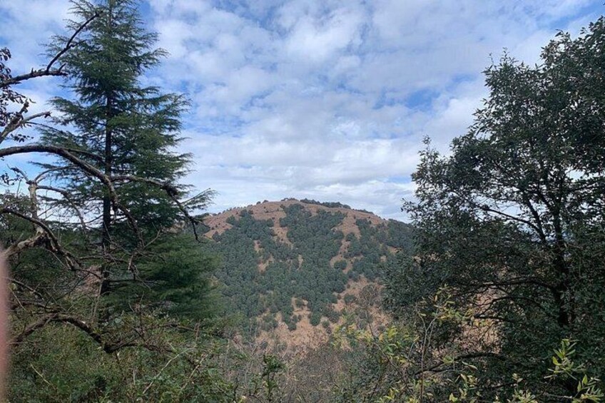 Trek to Benog Tibba 3