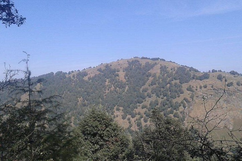 Trek to Benog Tibba 1