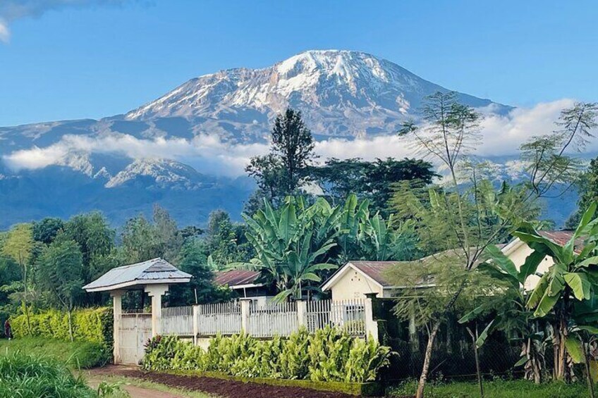 A mountain, a small house, and lush greenery. 1