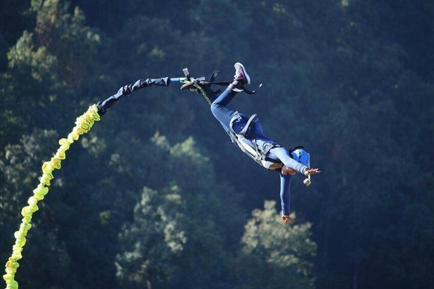 A person skydiving with a parachute, surrounded by trees. 4