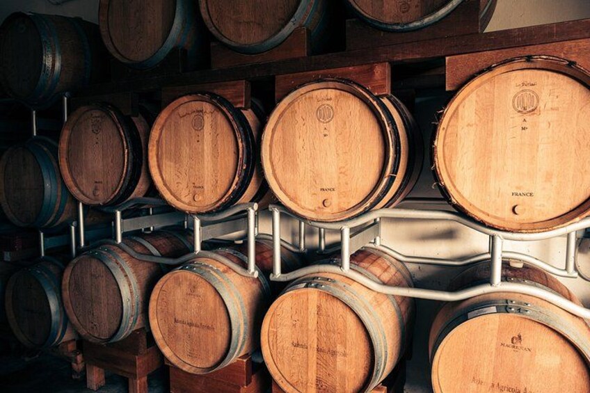 Chianti & Family Wines Tasting in a Tuscan Winery 2