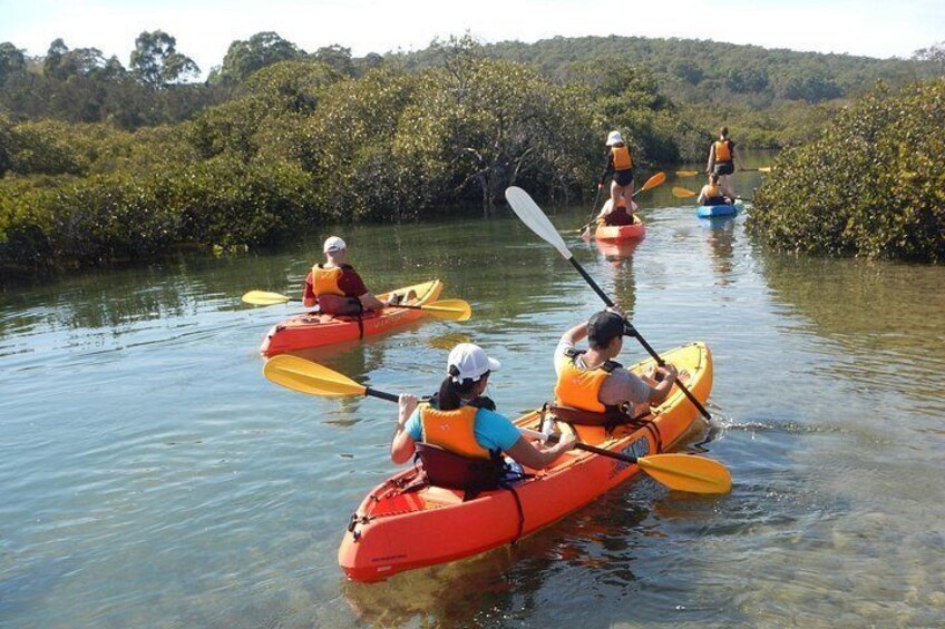 People kayaking on a calm river surrounded by dense mangrove vegetation. 2