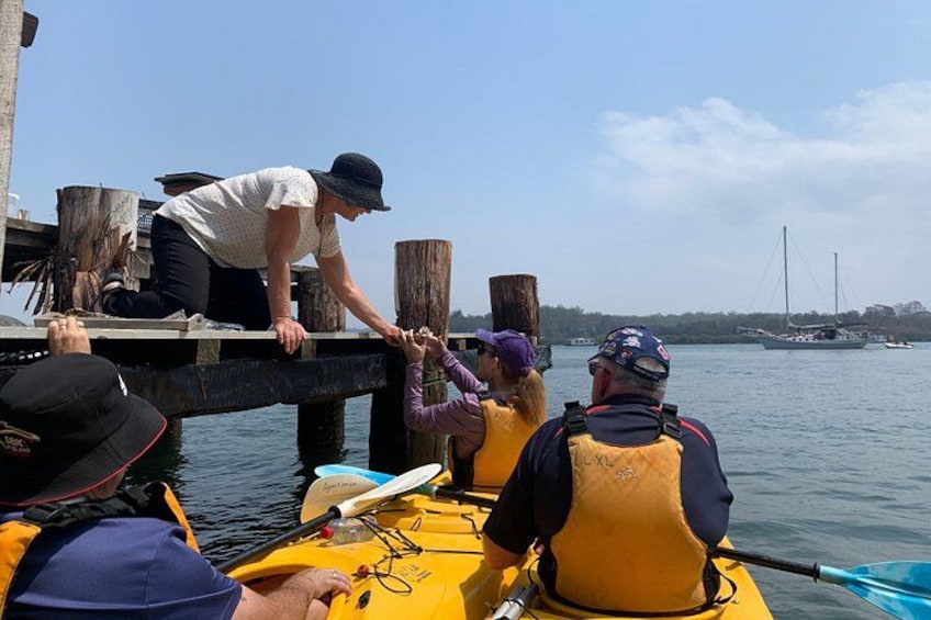 Batemans Bay Oyster Tasting Kayak Tour 2